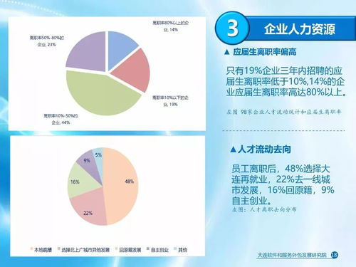 大連軟件和信息技術服務業發展報告 聚焦軟件外包服務的崛起與展望