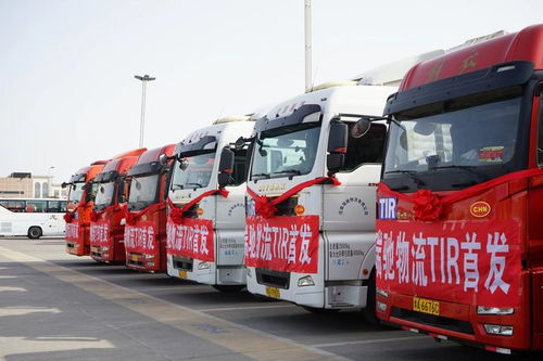tir運(yùn)輸進(jìn)入新時(shí)代 全國(guó)首單tir大件貨物從鄭州航空港區(qū)發(fā)車